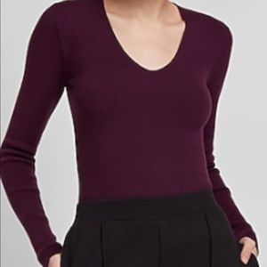 Express V-Neck Sweater NWT
